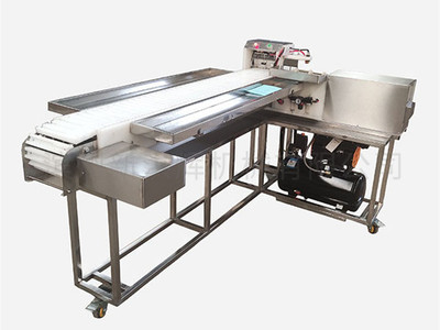 連續(xu)自動型穿串機(ji)