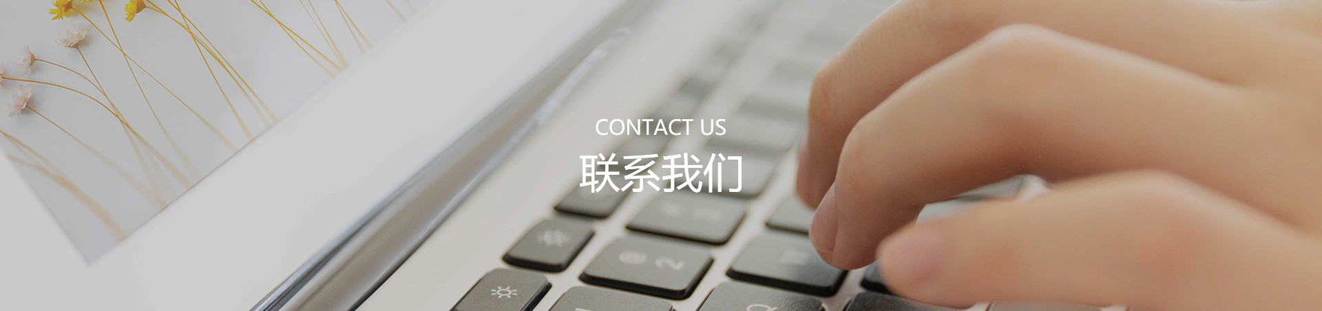 聯系(xi)我們